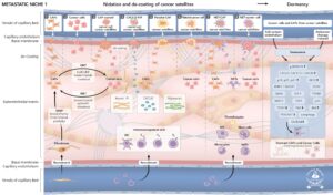 Epistemology of the Origin of Cancer IV: Predisposing Conditions for Metastases